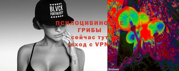 не бодяженный Алзамай