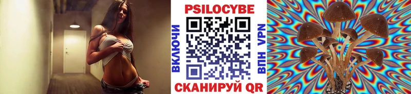 купить закладку  Камышин  кракен вход  Галлюциногенные грибы MAGIC MUSHROOMS 