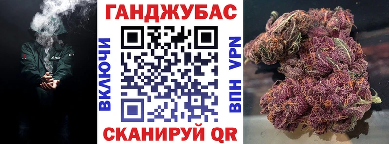 МАРИХУАНА планчик Камышин